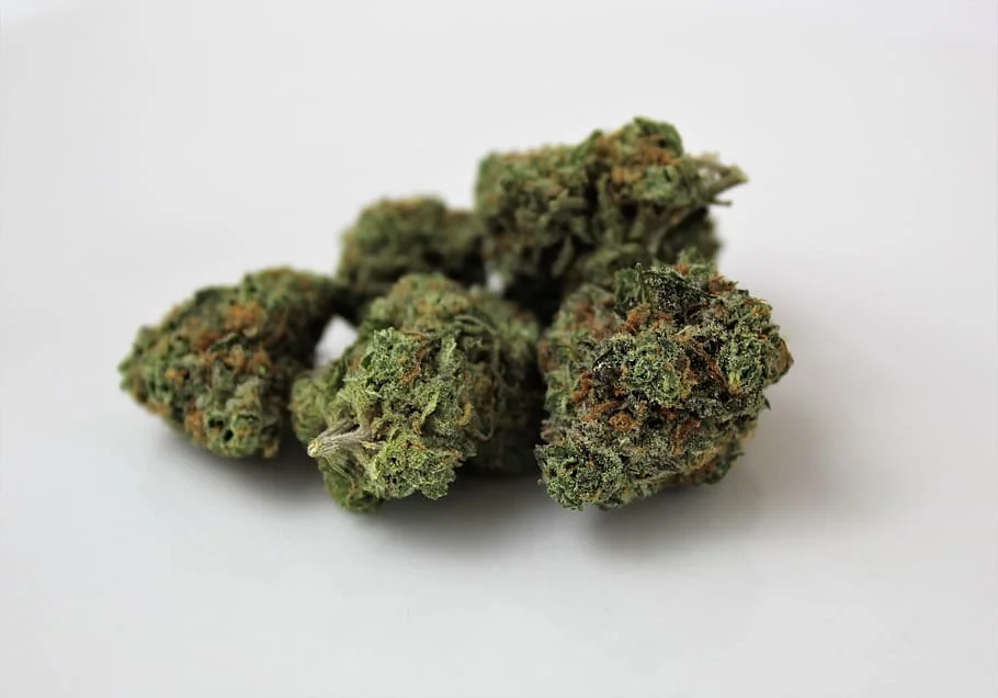 Purple Tegridy