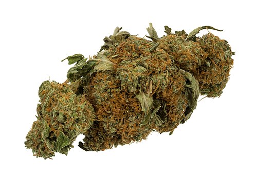 Skunk Kush